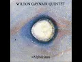Download Lagu Wilton Gaynair Quintet: Alpharian (1991)   [Full Album]
