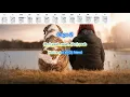 You've Gotta Friend by James Taylor play along with scrolling guitar chords and lyrics