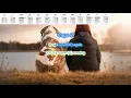 You ve Gotta Friend by James Taylor play along with scrolling guitar chords and