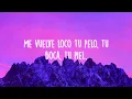 Wisin, Yandel - Algo Me Gusta De Ti ft. Chris Brown, T Pain (Lyrics)