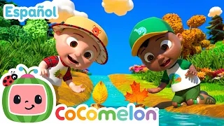 La canción del barquito ⛵ Canciones Infantiles | CoComelon en Español