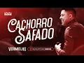 Download Lagu KAUAN FURACÃO - CHÁ DE CHIFRE - CACHORRO SAFADO - MC MARI