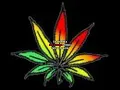 zona ganjah - fumando vamos a casa