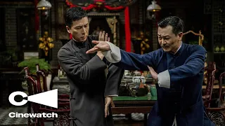 ip man 4 the finale wan fight
