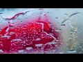유주 YUJU - Love Rain (Feat. 수란 SURAN) Lyric Video
