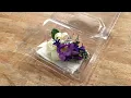 Extending Corsage Life