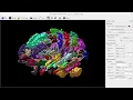 Demonstration of the connectome tool in MRView