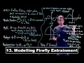 Modelling Firefly Entrainment - Dynamical Systems Lecture 13