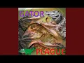 Download Lagu Gator Plague