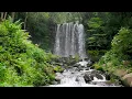 Download Lagu Waterfall Flowing in a Mountain Forest 24/7. Waterfall Sounds, Flowing Water. White Noise for Sleep.