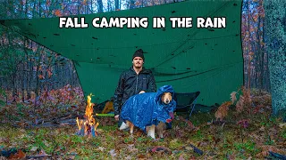 Fall Camping In The Rain With My Dog