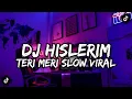 Download Lagu DJ HISLERIM X TERI MERI SLOWED 🔥🤤🔥