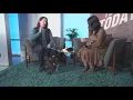 Idaho Today Pet Talk - Today s adoptable pets at Idaho Humane Society