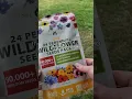 Download Lagu The Easiest Wildflower Garden to Attract Bees, Birds \u0026 Butterflies #backyardgardening #wildflowers