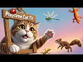 Download Lagu Playtime Cat TV – Cat Games That Build Stronger Bonds With Your Pet DAY 25