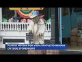 Download Lagu Steps being taken for JBO Yoda statue to remain
