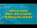 Unix Linux bash Permission denied 3 Solutions