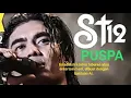Download Lagu Dengerin lagu PUSPA st12 (Cover Pake AI).