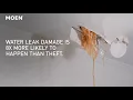 Moen Flo - Did You Know