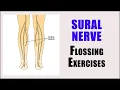 SURAL NERVE ENTRAPMENT Nerve glide exercises for pain numbness and tingling in the leg and foot