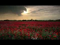 Thomas Newman - Someone Else (Slowed + reverb)