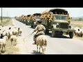 Download Lagu 【2025動作片】日軍脅迫牧童帶路，反被引入埋伏圈，全軍覆沒！#中國功夫 #中文电视剧 #武侠#动作#功夫