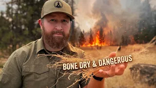 Wildfires Near Home | Update