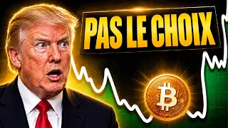 Bitcoin doit pumper MAINTENANT, sinon c'est le crash (urgent)