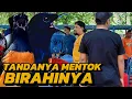 Download Lagu ADA YANG SAMA SEPERTI INI‼️TANDANYA MENTOK BIRAHINYA