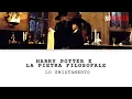 Video di Cerimonia dello Smistamento su Harry Potter