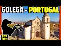 Download Lagu Golegã: De paardenhoofdstad van Portugal🐴