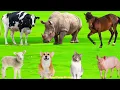 Download Lagu Adorable Animal Sounds Compilation: Sheep, Cat, Horse, Cow, Cat, Chicken, Dog - Animal Moments