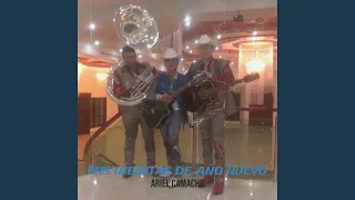 nadie en vivo