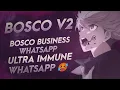 BOSCO BUSINESS WHATSAPP🥵