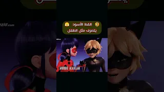 القط الأسود يحاول ندف الدعسوقة ميراكلس الدعسوقة والقط الاسود 
