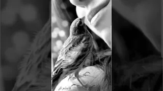 الفنان عزازي ياحبيب الروح دندنها