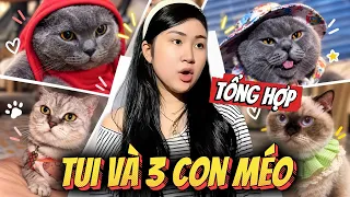 [TỔNG HỢP] TUI QUẬY CÙNG 3 CON MÉO 🙀  