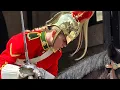 Download Lagu First Ever Female Canadian King's Guard at Horse Guards!