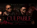 CULPABLE | AL ESTILO DE WISIN & YANDEL (IA)