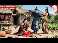 Download Lagu War Goddess Sacrifices Everything for Her Poor Husband, Unexpectedly He Betrays Her Without Mercy