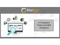 SiteSpy Google Mobile API Safe Browsing API