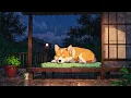 Peaceful Rainy Nights 🌧️ Sleep With Lofi And Sleeping Corgi 🌧️ Dreamy Lofi Songs To Soothe Your Soul