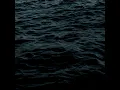 Sirens song (Best part loop)
