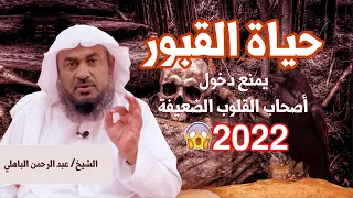 حياة القبور رحلة مرعبة كيف سينتهي المطاف تحت التراب  حياة القبور رحلة مرعبة كيف سينتهي المطاف تحت التراب