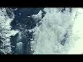 Alex Lustig - OI (Official Video)
