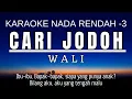 Download Lagu Wali - Cari Jodoh (Karaoke Lower Key | Nada Rendah -3)