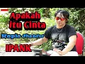 Lagu Apakah itu cinta(IPANK). Koplo jhandut//Beny serizawa.