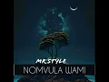 Nomvula Wami - Mr Style