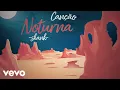 Lagu Skank - Canção Noturna (Lyric Video)
