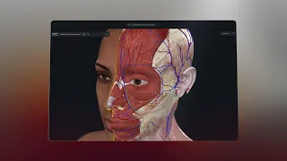 Complete Anatomy for Web | Easy browser-based 3D anatomy teaching for institutions